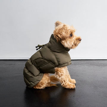 Cloud7 Everest // Very Warm Winter Dog Coat (light olive)