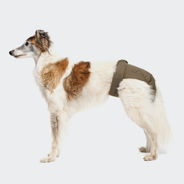 Cloud7 Dog Panties // Løbetidsbukser med god pasform (olive)