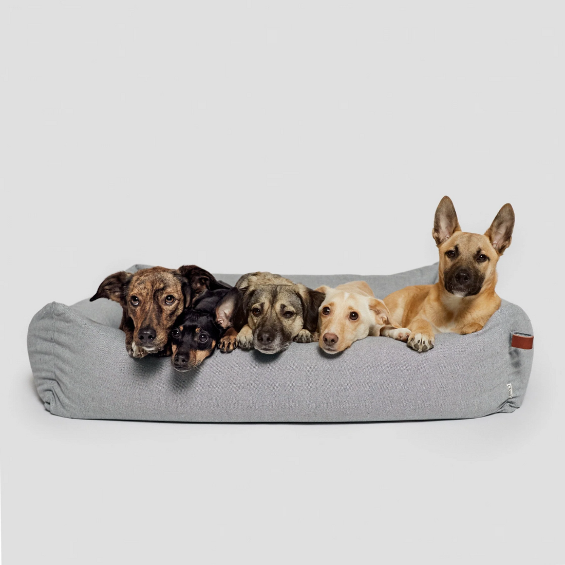 Cloud7 Sleepy Deluxe // Eksklusiv hundeseng (tweed grey)