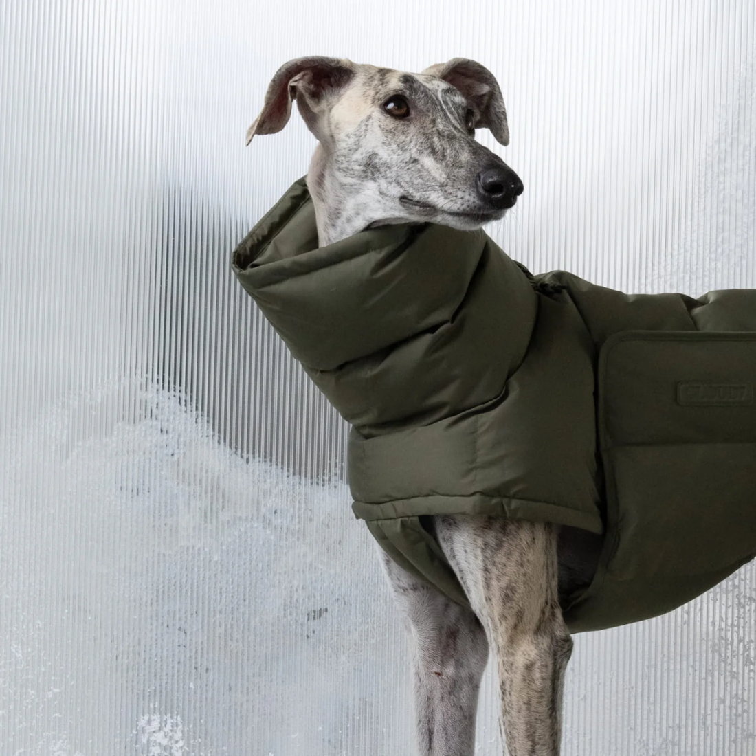 Cloud7 Alaska // Ekstra varm vinterjakke til hunde (light olive)