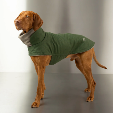 Cloud7 Brooklyn // Warm and water-repellent dog blanket (fern green)