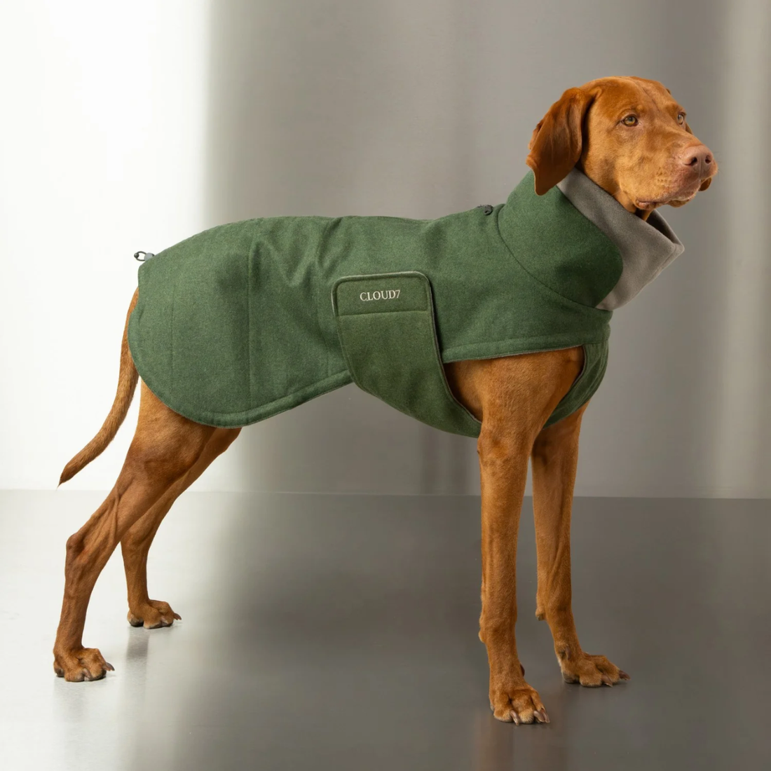 Cloud7 Brooklyn Long // Varmt og vandafvisende hundedækken (fern green)