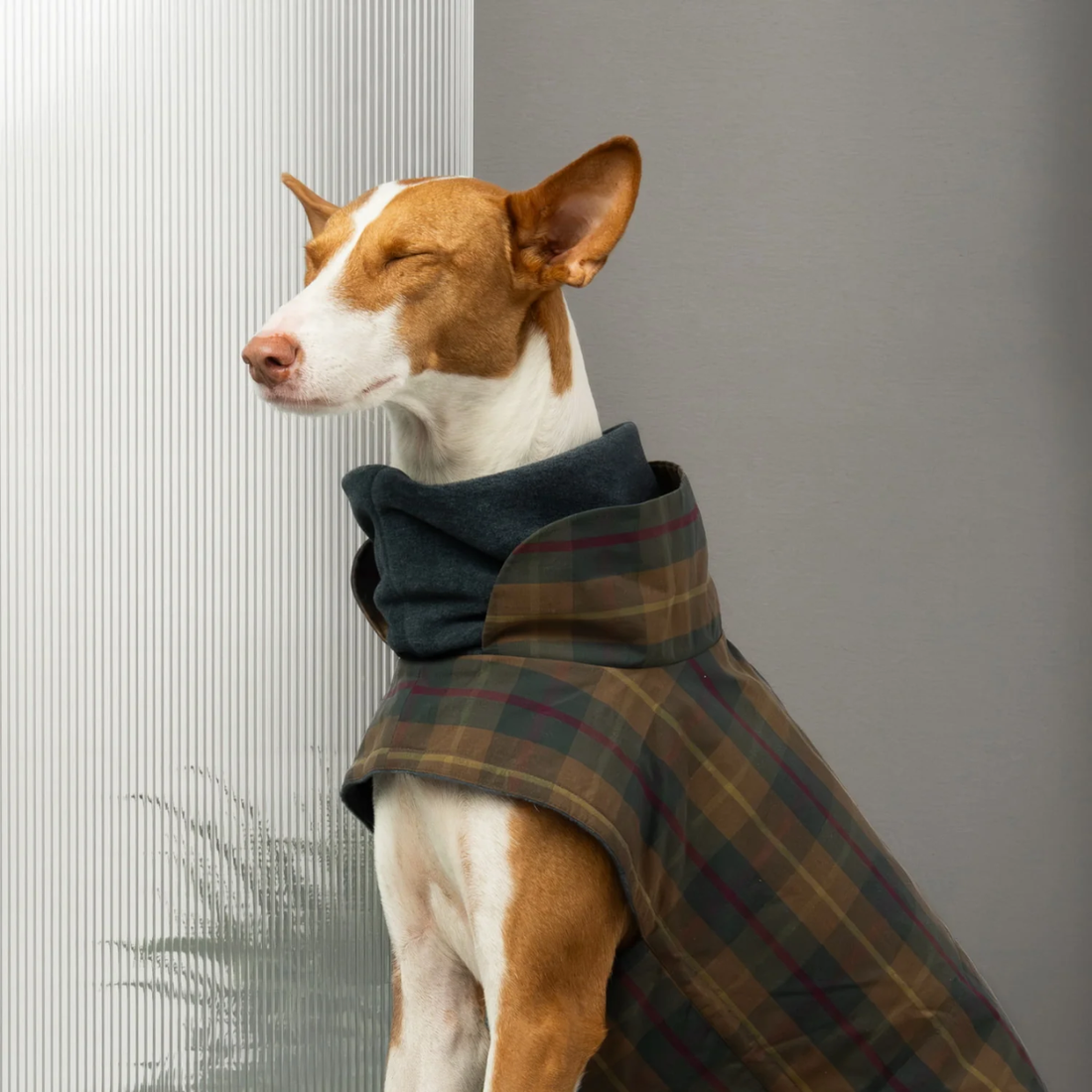 Cloud7 Brooklyn // Varmt og vandafvisende hundedækken (waxed tartan)
