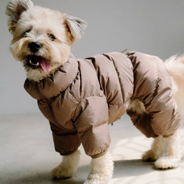 Cushycushy Onesie // Flyverdragt som ikke skal over hovedet (mocha) Str 8 & 12