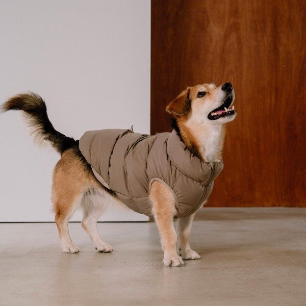 Cushycushy Vest // Dog jacket that doesn't go over the head (mocha) Size 2 & 8