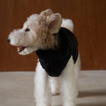 Cushycushy Vest // Dog jacket that doesn't go over the head (black) 4 & 6
