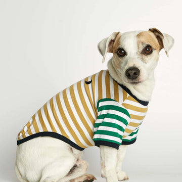 David T-shirt // Hundetrøje med ærmer i økologisk bomuld (dijon/grøn)