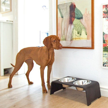 dogBar, Steel Bowls // Food and water bowl stand (dark oak)
