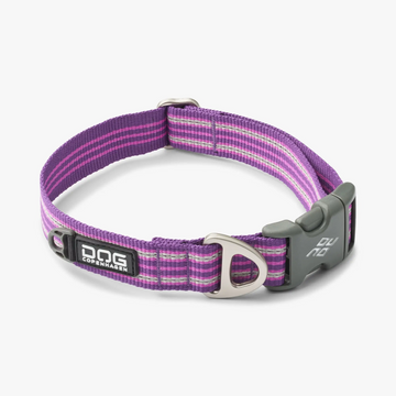 Dog Copenhagen Urban Style™ // Lightweight and durable collar (purple passion)