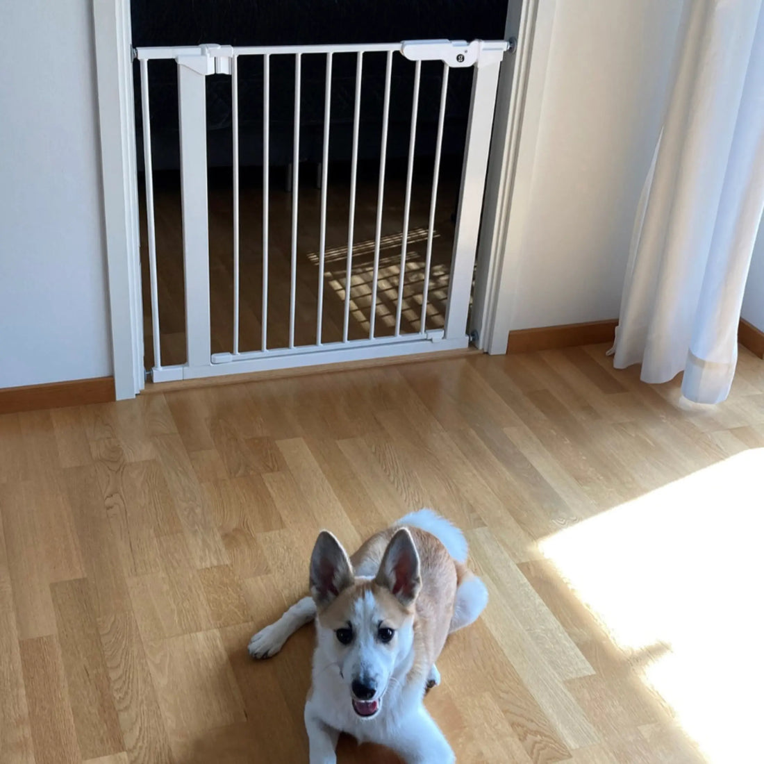Dogspace White // User-friendly dog ​​gate for door frame (2 sizes)