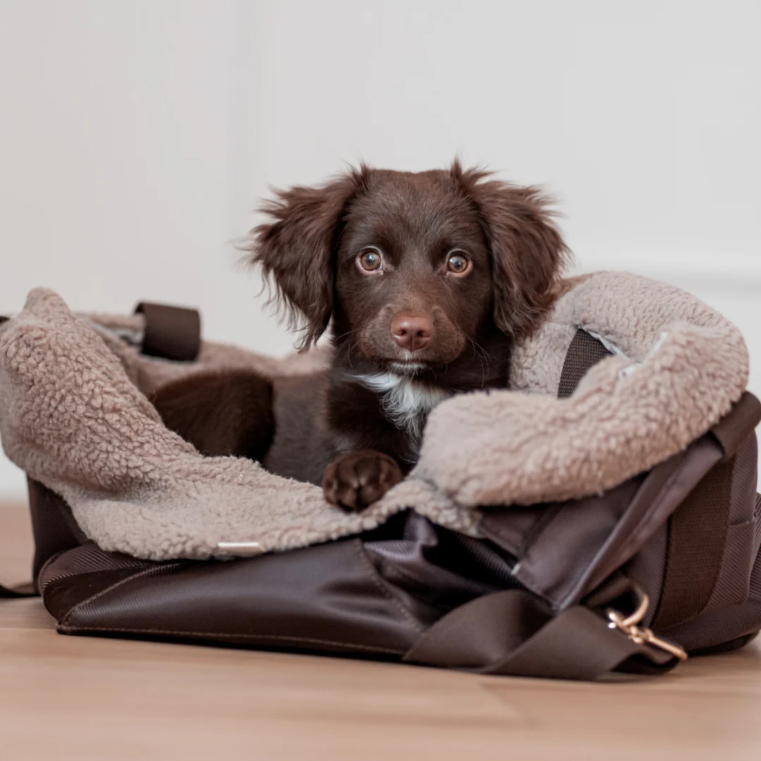 Drew's Dogwear Cali // Dog bag with teddy lining