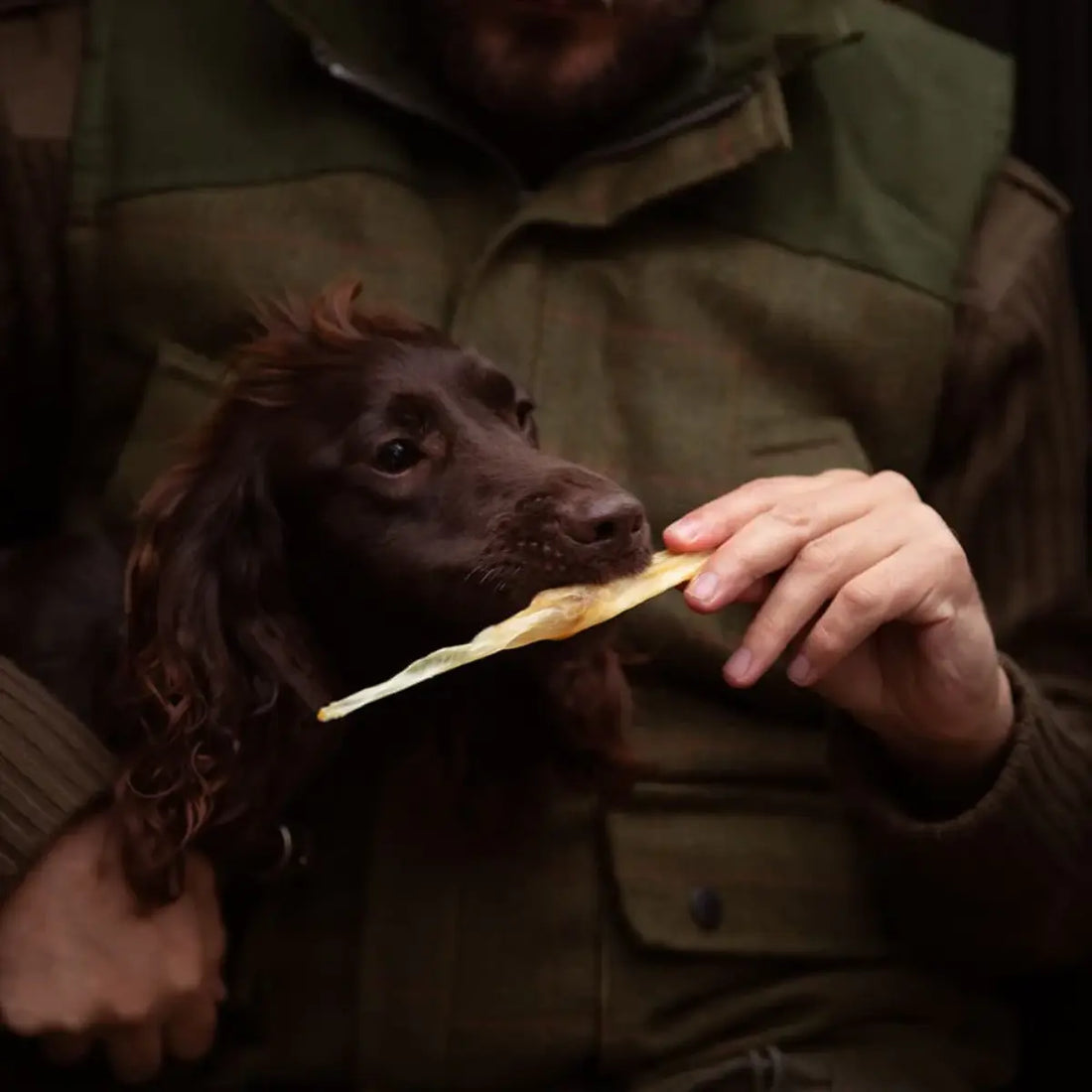Essential Small Lamb Skin Delights // Snacks made from 100% dried lamb skin