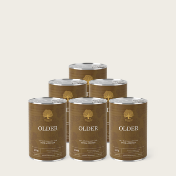 Essential Older Paté // Wet food for senior dogs (6 x 400g)