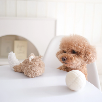 Lambwolf Fox Pop // Activity toy with removable ball