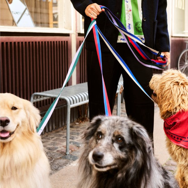 HAY Dogs Flat // Klassisk hundeline i genanvendt nylon (blå/hvid)
