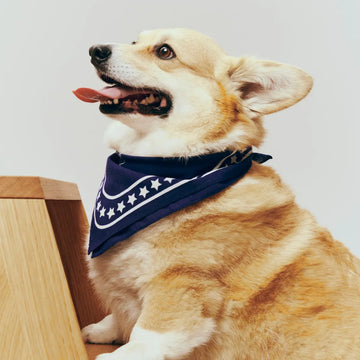 HAY Dogs Scarf // Cotton dog bandana (navy)