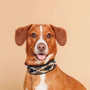 Buddys Dogwear Peyote Azul // Wide and durable collar (bohemian)