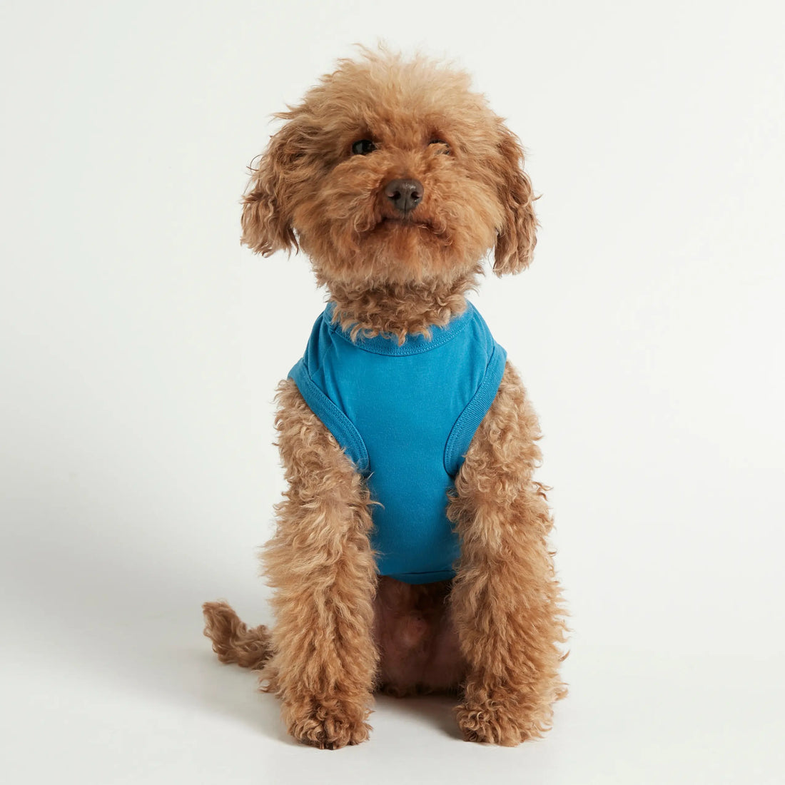 Imi Bodysuit // Hundetrøje i økologisk bomuld (blå)
