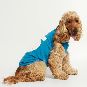 Imi Bodysuit // Hundetrøje i økologisk bomuld (blå)