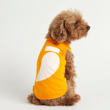 Imi Bodysuit // Dog sweater in organic cotton (orange)