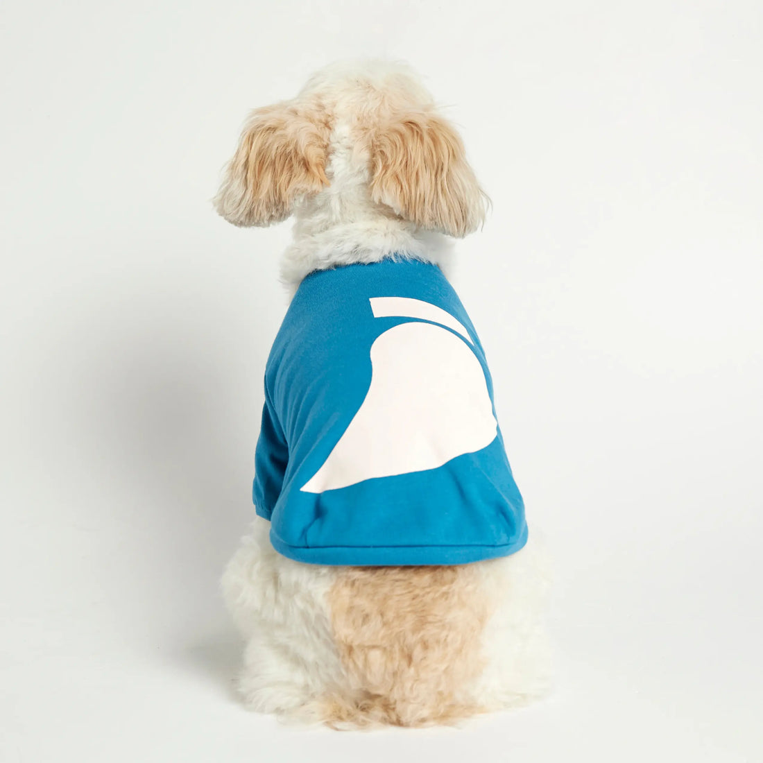 Imi T-shirt // Hundetrøje med ærmer i økologisk bomuld (blå)