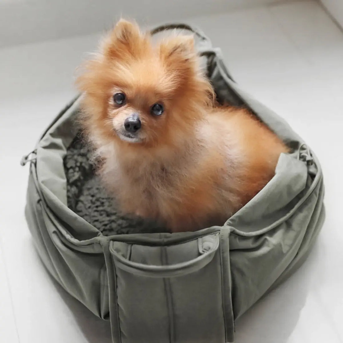 Lambwolf Olla // Carrier for small dogs up to 5 kg. (fern)