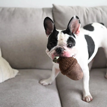 Lambwolf Acorn // Dog toy with 'squeak'