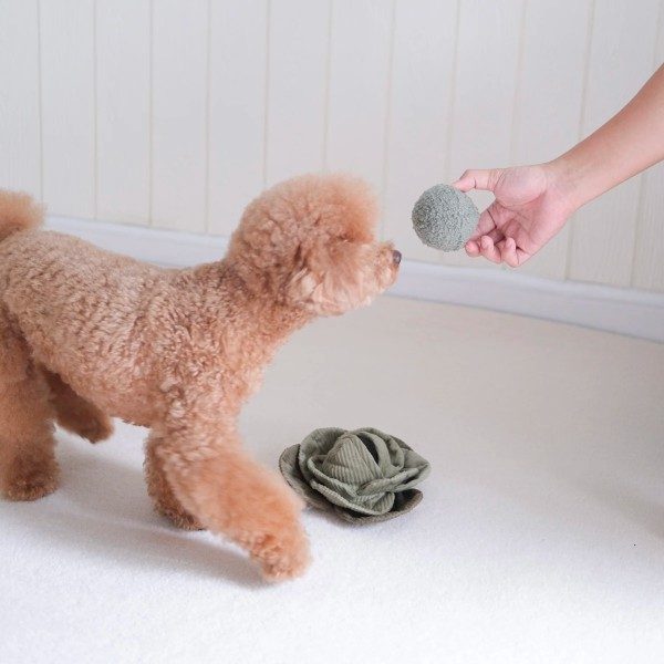 Lambwolf Cabbage // Activity toy with bouncy ball with 'beep'