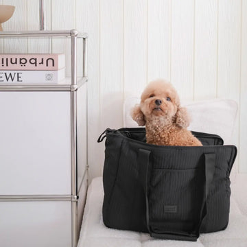 Lambwolf City // Dog bag with breathable closure (black)