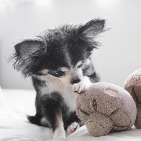 Lambwolf Guu // Toy with space for treats (oat)
