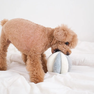 Lambwolf Toto // Activity ball with pockets and squeaker (light blue)