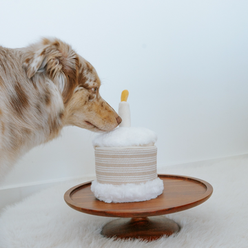 Lambwolf Birthday Cake // Festligt legetøj med mini overraskelser
