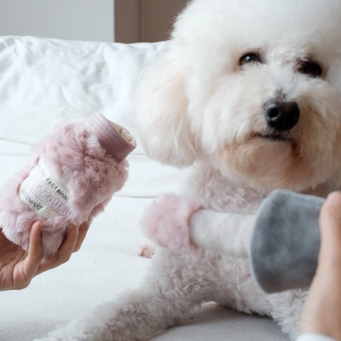 Lambwolf Nail polish // Toy with crinkly sound and treat pocket