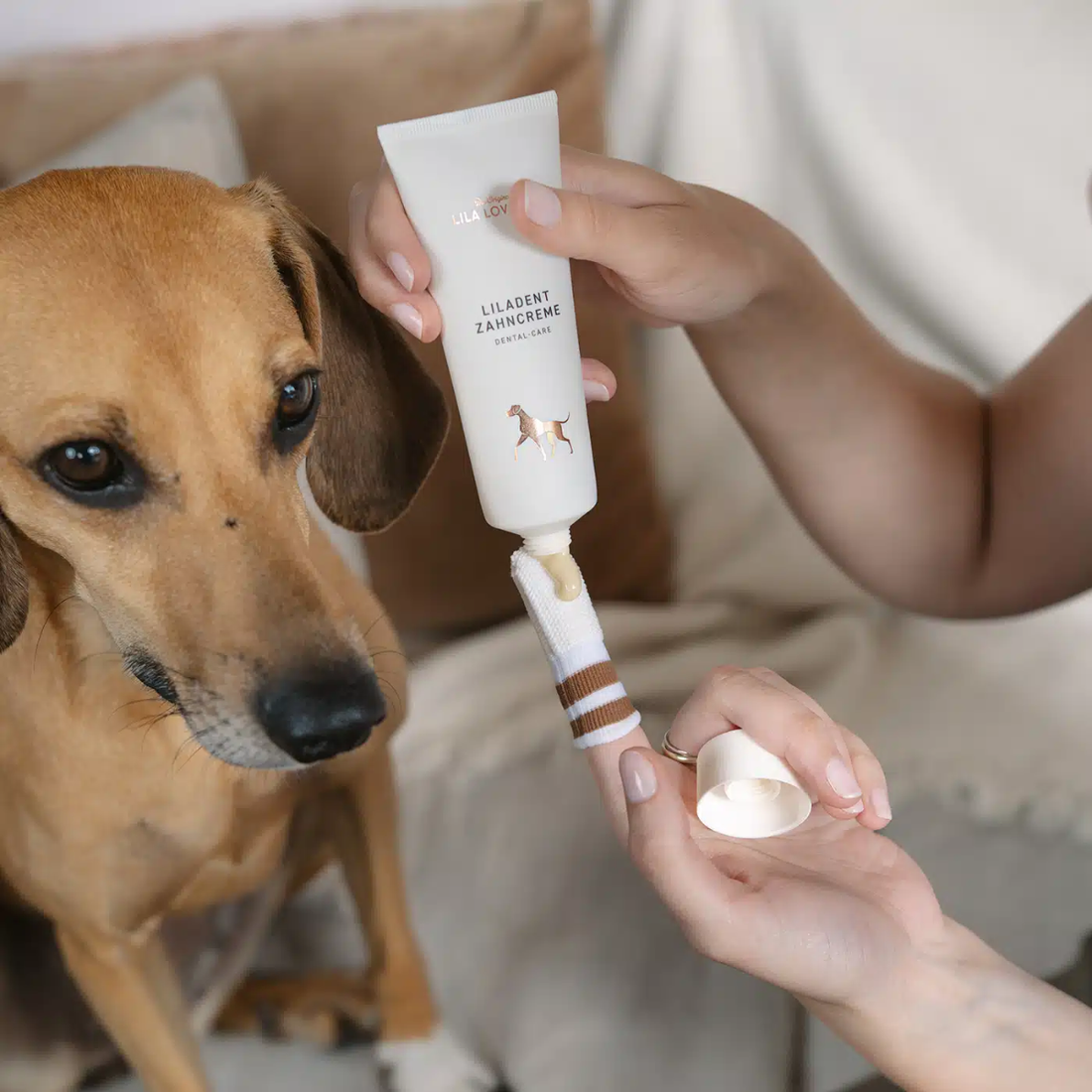 Lila Loves It Dental Care // Tandpasta til hunde - imod plak, tandsten og dårlig ånde