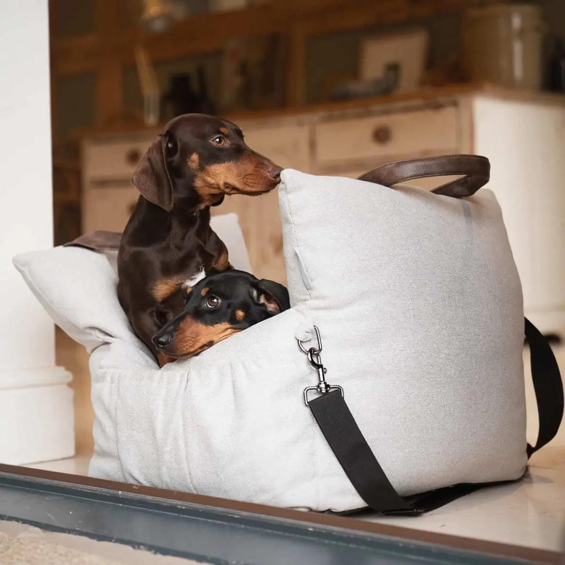 Lords &amp; Labradors // 3-in-1 Car Seat for Dogs (Slate)
