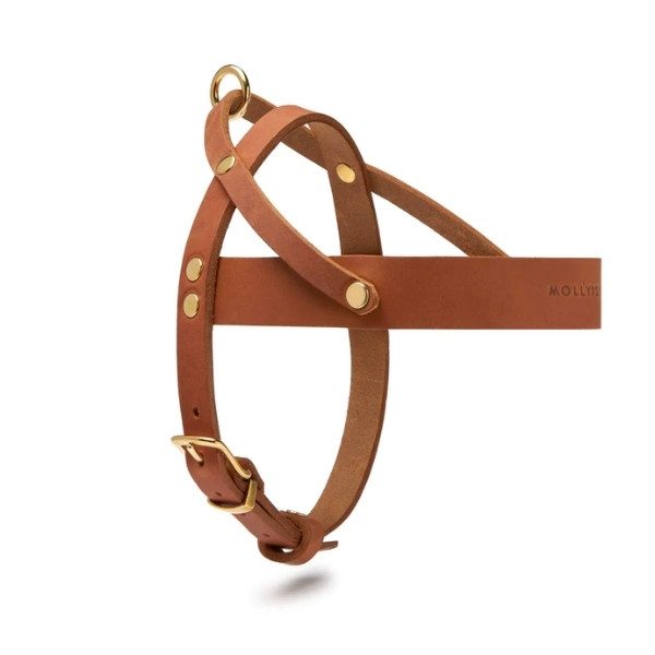 Butter Sahara // Classic harness in soft leather (cognac)