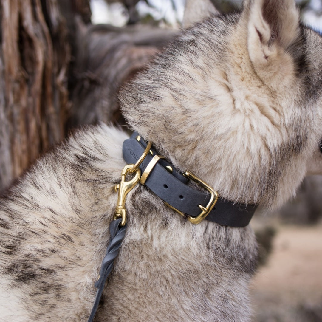 Butter Timeless // Soft leather collar (gray)