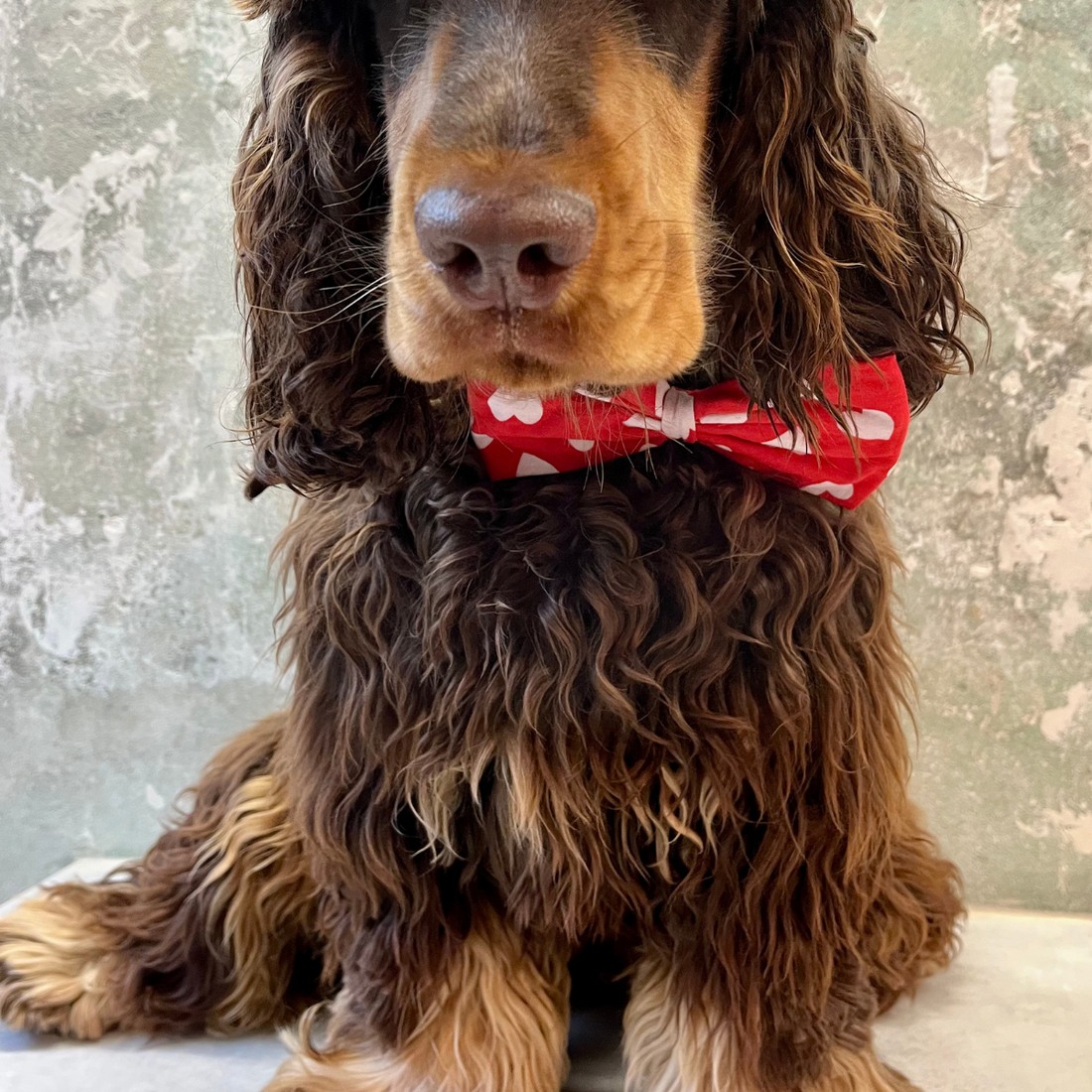 Nana // Hundebutterfly med hjerter (rød)
