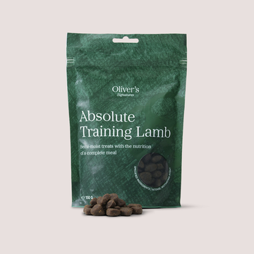 Oliver's Signature Absolute Training Lamb // Semi-Moist Treats (Lamb)