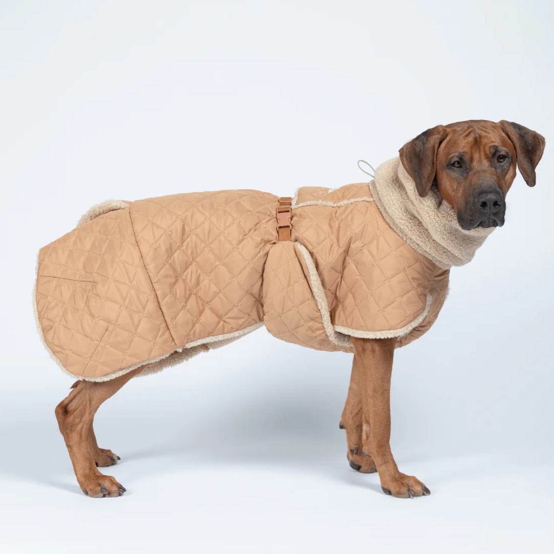 Paikka Quilted Sherpa // Reversible winter jacket with a good fit (camel)