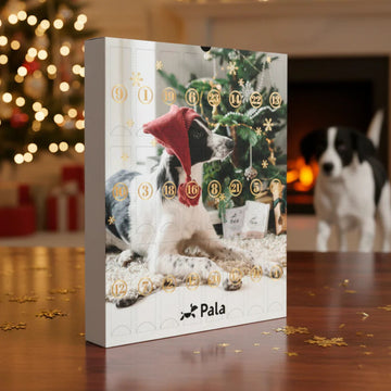 Pala Christmas // Exclusive Advent calendar for your dog