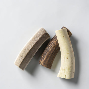 Nutriment® Split Antler // Split deer antler, perfect for puppies