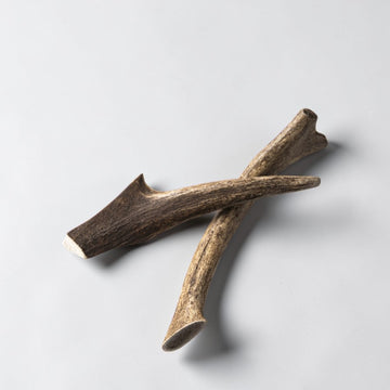 Nutriment® Antler // Durable deer antler chew