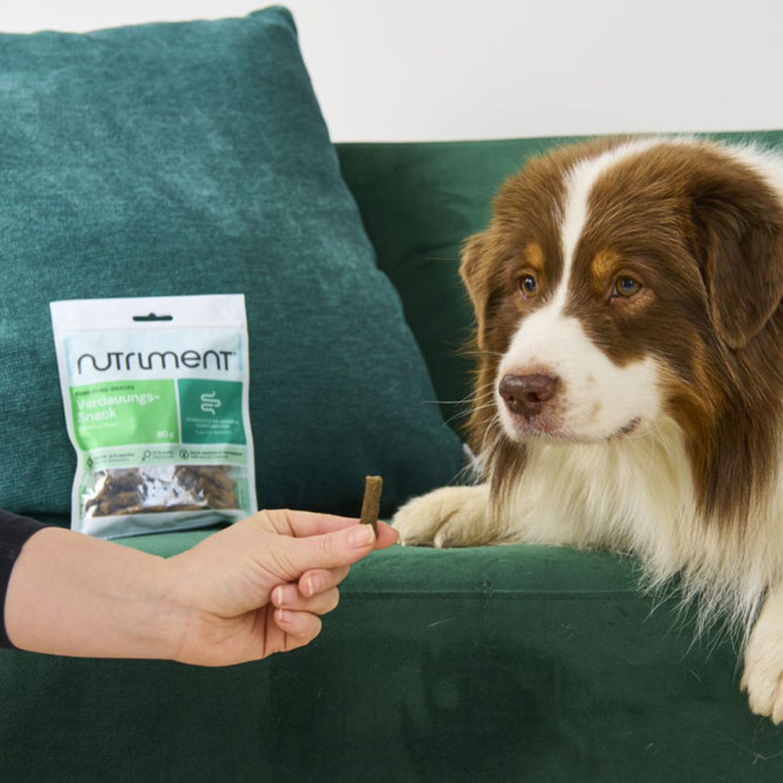 Nutriment® Digestion Snack // Functional treats to support digestion