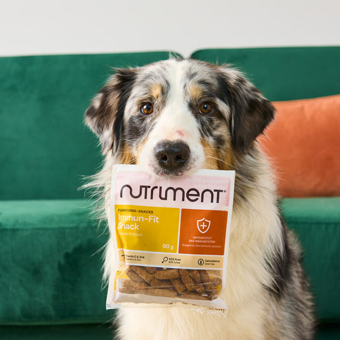 Nutriment® Immune Defence Snack // Functional treats to support the immune system