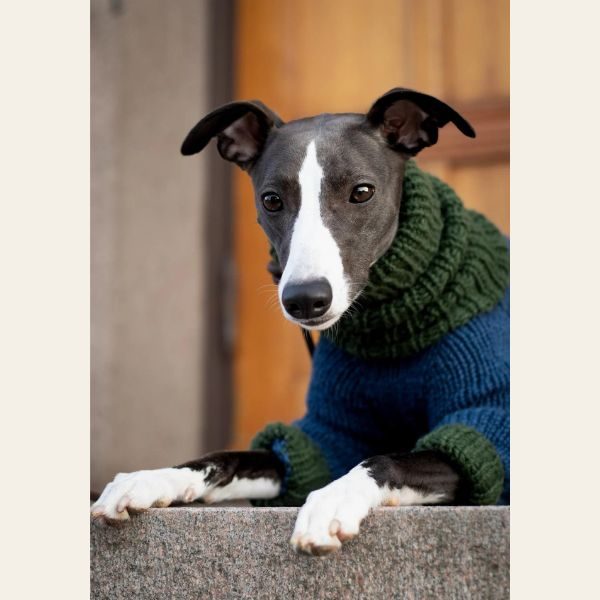 WEAR FIFI // Knitting pattern for dog sweater for greyhounds