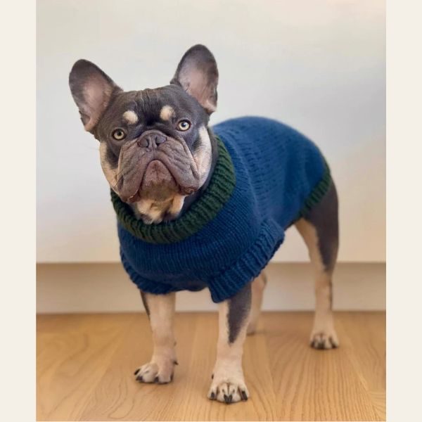 WEAR FIFI // Knitting pattern for dog sweater for French bulldog