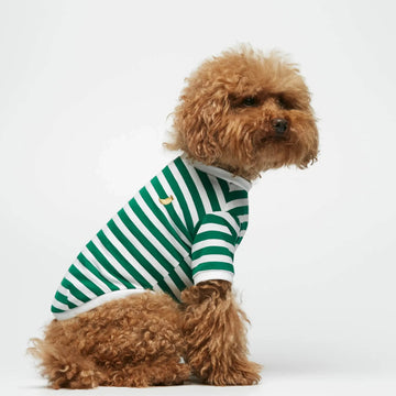 David T-shirt // Dog sweater with sleeves in organic cotton (green) Small