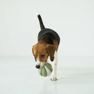Lambwolf Toto, Small // Activity ball with pockets for treats