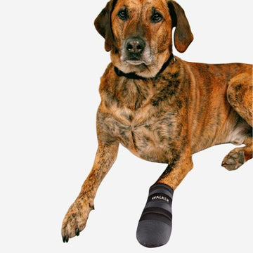 Dog shoes // Dog shoes for paw protection and injuries (2 pieces)